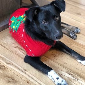 Meet your Posher, J.d.